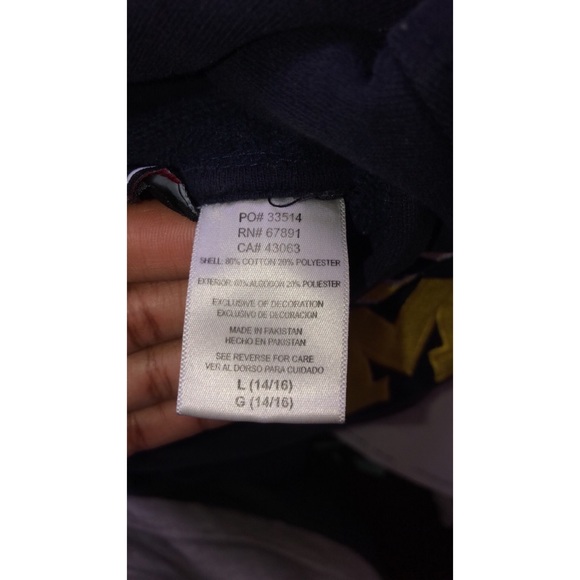 Michigan Hoodie - Picture 3 of 3